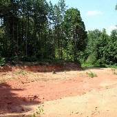 Thrift Site 3