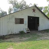 Pick Pocket Plantation - White Stable