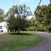 Brentwood Drive