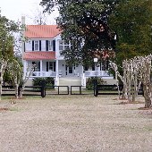 Old Pearlstein Plantation