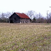 Old Joe Rast Farms