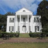 Friendfield Plantation - Exteriors & near House