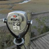 Palmetto Islands County Park - Observation Tower