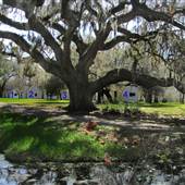 Magnolia Plantation & Gardens FEBRUARY - Slave Cabin 1