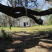 Magnolia Plantation & Gardens FEBRUARY  - Slave Cabin 5