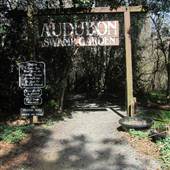 Magnolia Plantation & Gardens - Swamp Garden