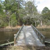 Colleton County - Cottage & Swampy Rice Field