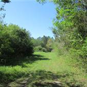 LAKE, FIELDS, & FOREST - Mt. Pleasant Rifle Range Road