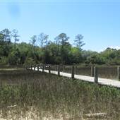 Palmetto Islands County Park - 2 Boardwalks to Nature Island - MAY