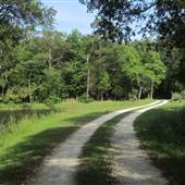 Laurel Hill Plantation / Mt. Pleasant - The Pond (MAY)