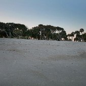 Edisto Beach State Park