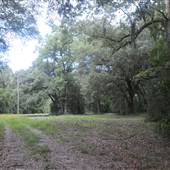 Dungannon Plantation - Cabin Clearing