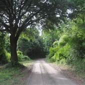 Hamlin Farm - Perimeter
