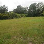 Stono River Stables - Small Hut field