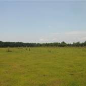 Legare Farms - Front Farm