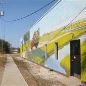 Grow Food Carolina