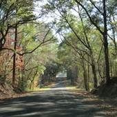 Bennett's Point Road - Airy Hall Entrance Area
