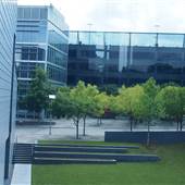 Clemson University International Center for Automotive Research