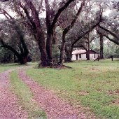 Dunganon Swamp (Cabins/Shacks)