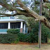 Mt. Pleasant - Middle Street Houses