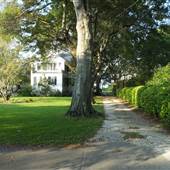 Bennett Street Harbor Homes Neighborhood Looks