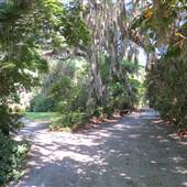 Magnolia Plantation & Gardens - MAY LOOKS - The Wedding Field