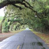 Little Britton Road