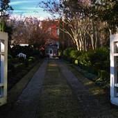 Gardens of Charleston - Montagu St. House - February Looks