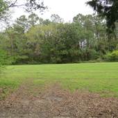 James Island County Park - The Meadows