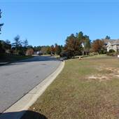 Pine Needle Circle House