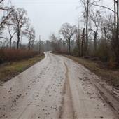 Waccamaw Cove