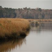 Harrietta Plantation Dec 2017 - North Dikes
