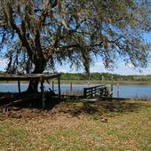 Pine Barron Plantation - Dock and River