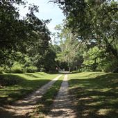 Millbrook Plantation - Fields, Roads, Paths, Miscellaneous - Summer 2018