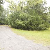 Tega Cay - Central Bark Dog Park