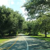 Hampton Park - Drive-around