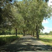 Caledonia Golf and Fish Club - Pawley's Island - Drive to the Clubhouse