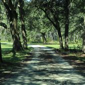 The Blessing Plantation -- Guest House Exteriors (Sep. 2018)