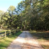 Middleton Place - Organic Farm