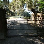 Middleton Place - Rice Pond Walkway