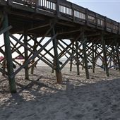 Folly Beach - Under the Pier (2019)