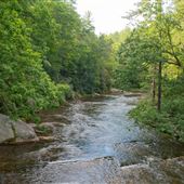 Chattooga River Access - Burrells Ford