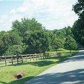 Race Track Road