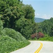 Old Highway 25