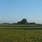 Darby Farms - Outbuildings
