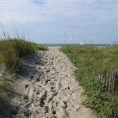 Folly Beach County Park - South End Area at Pelican Watch Center