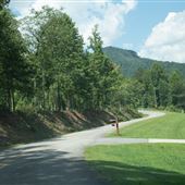 Carrick Creek Road