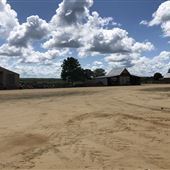 Bethune Horse Farm
