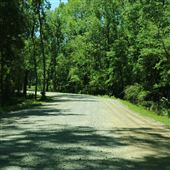 Drayton Hall - Driving Out