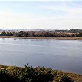 Stono River County Park